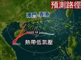常德跑胡子免费下载-台风灿都猛烈爆发，狂风骤雨中的城市与人心