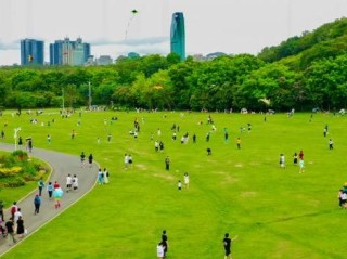 深圳疫情最新消息，防控措施再升级，市民生活有序恢复