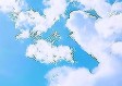 上海明后三天天气预报（上海明后天气预报24小时天气预报）