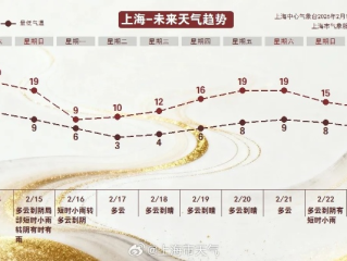 上海天气预报15天查询最新消息，未来两周天气趋势与出行建议