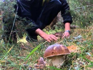 河南未来15天天气，晴雨交替，冷暖起伏，请提前做好应对