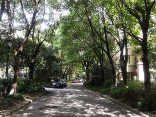 汝州天气，四季流转中的中原小城