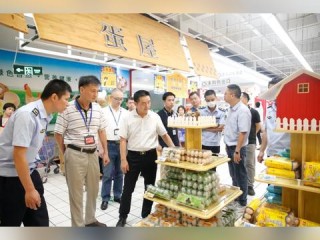 2023年台风最新消息，多地启动应急响应，强风雨即将来袭