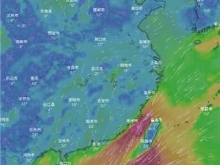 风雨中的导航仪，揭秘台风路径实时发布官网如何守护万家灯火