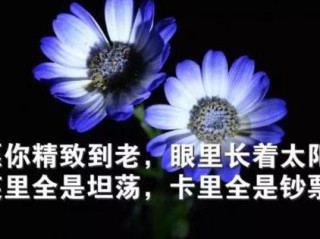 藏在指尖的阴晴冷暖，OPPO手机自带天气软件体验小记