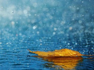 吉首天气预报，雨雾中的边城，冷暖自知的烟火人间