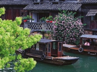 青海11选5-乌镇自由行全攻略，一场穿越千年的水乡梦