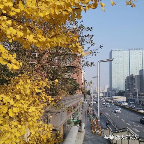 四川成都未来15天天气（十月一日成都天气预报）