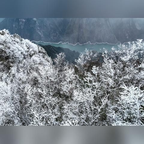 冷空气冻真格!下周重庆将迎雨雪天气,高海拔地区或现银装素裹 冷空气冻真格!下周重庆将迎雨雪天气,高海拔地区或现银装素裹