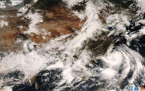 温州台风网最新台风动态，关注格美路径变化，沿海地区需加强防范