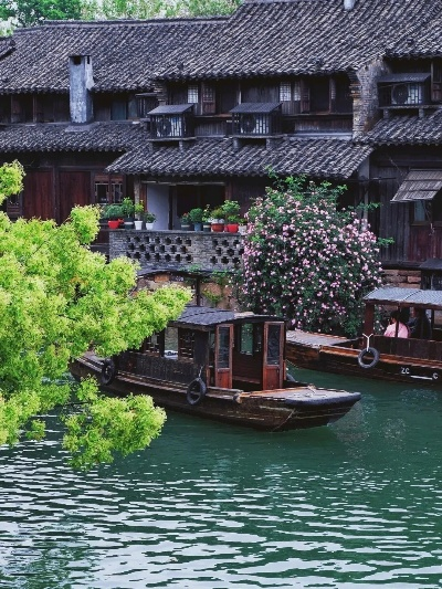 青海11选5-乌镇自由行全攻略，一场穿越千年的水乡梦