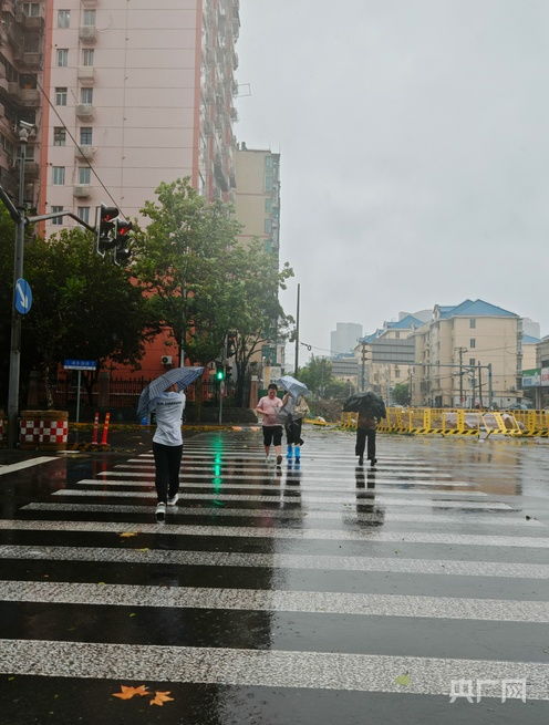 上海台风，风雨中的城市韧性