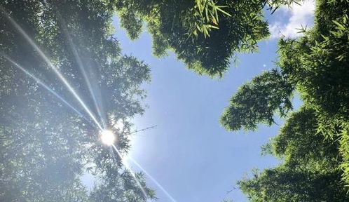 夏天最适合避暑的城市，躲进清凉里，邂逅夏天的另一面