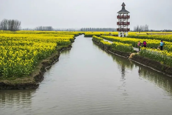 兴化天气，水乡里的阴晴冷暖