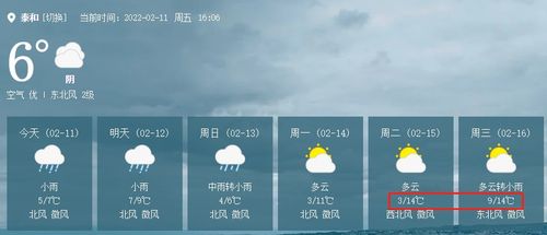 泰和天气，四季流转间的温柔与热烈