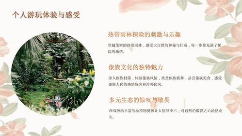 西双版纳旅游攻略,探秘热带雨林与傣族风情的终极指南 西双版纳旅游攻略,探秘热带雨林与傣族风情的终极指南