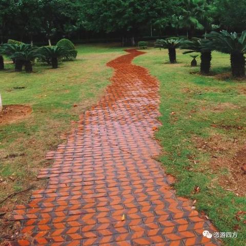厦门天气预报一周7天,晴雨交替,出行需留意 厦门天气预报一周7天,晴雨交替,出行需留意