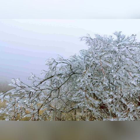 焦作天气预报15天,掌握天气变化,从容规划生活 焦作天气预报15天,掌握天气变化,从容规划生活