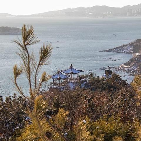大连旅游必去景点，山海之间的浪漫之城，这些地方不容错过