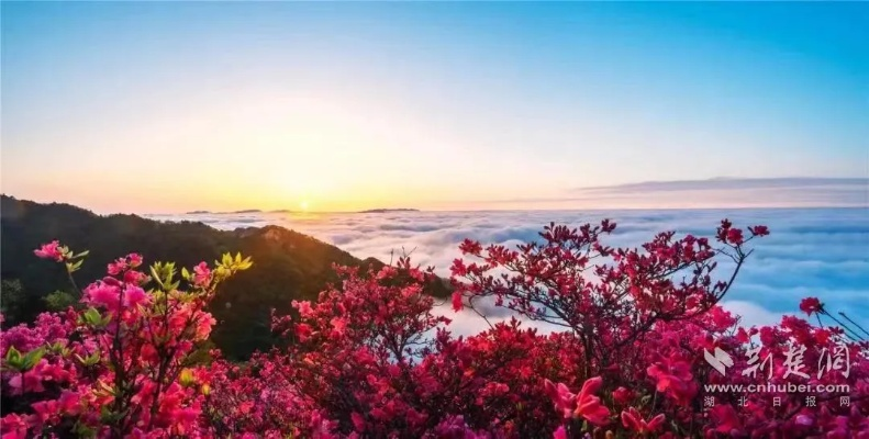 麻城天气,四季分明的诗意与烟火气 麻城天气,四季分明的诗意与烟火气