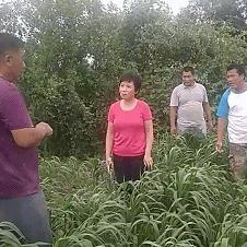 庆云天气预报,守护每一日的生活节奏 庆云天气预报,守护每一日的生活节奏