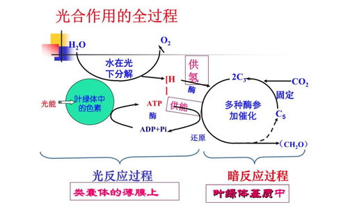 义乌24小时实时天气，一座小城的呼吸与脉搏