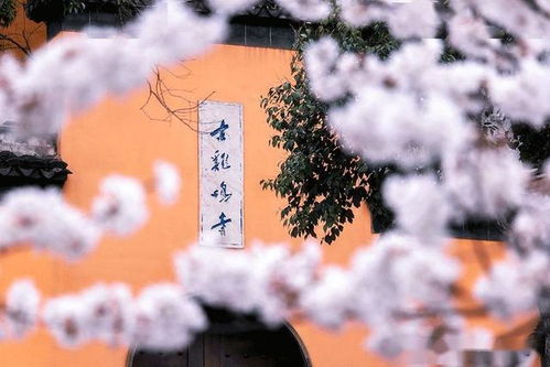 泗洪天气，四季的温柔与倔强
