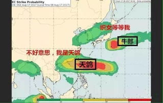 风雨中的导航,台风路径实时图如何守护万家灯火 风雨中的导航,台风路径实时图如何守护万家灯火